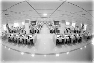 永川 構筑軟件服務外包高地，全力構建智慧城市產業生態圈