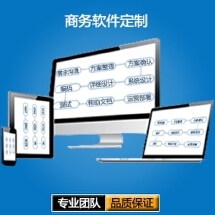 軟件服務(wù)外包 價(jià)格體系詳解與VIP九品服務(wù)模式